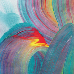 Anaryaa