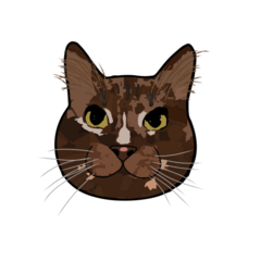 Azhleyoof