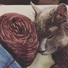 CatSaysKnit