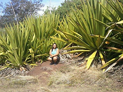 Cay10