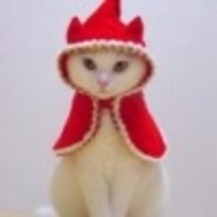 FlamingoKitten
