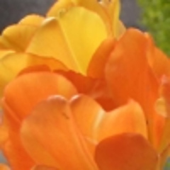 LindaMae