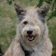 Maggie01