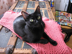 MsBetsy