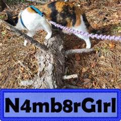 N4mb8rG1rl