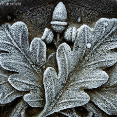 Oakfrost