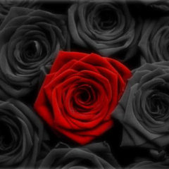 RoseDark