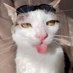 SentimentalMouse