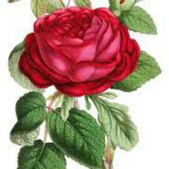 TheGildedRose