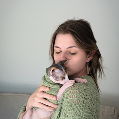 TheKnittySphynx