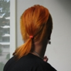 Topperi