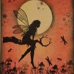 DreaMtl