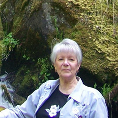 elderangel