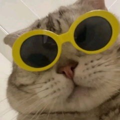 freyavanderwal