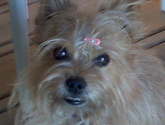 hollydaisy2000