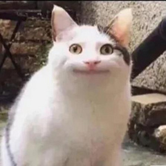 KitsuneDHD