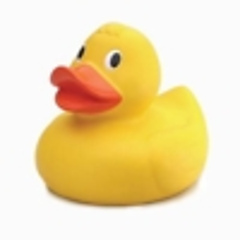 Duckmor