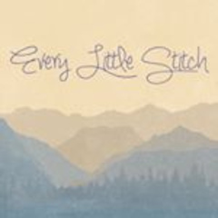 everystitch303