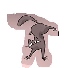 mrkitteh