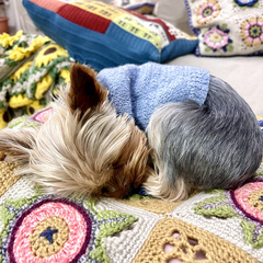mycrochetprojects