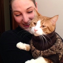 orangecatknits