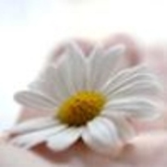 sflowers
