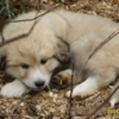 tuckersmom