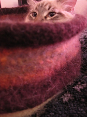 ukeladyknits